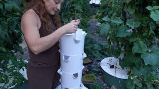 How a Vertical Tower Garden Works Assembling Your Hydroponic Tower System [upl. by Leivad144]