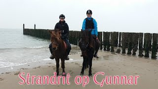 Strandrit op Gunnar  Manege de IJslander [upl. by Hally497]