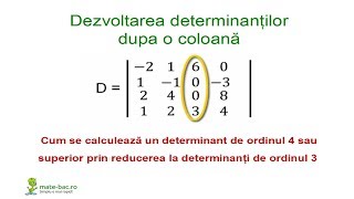 Dezvoltarea determinantilor dupa o coloană  Algebra cls a 11a [upl. by Favianus]