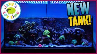 The New Izzys Toy Time 200 GALLON SALTWATER REEF TANK [upl. by Burkle]