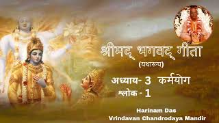 Bhagavad Gita Chapter3 Verse1 bhagavad gita class harinamdas iskcon harekrishna vrindavan [upl. by Akfir]