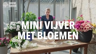 Mini vijver met bloemen [upl. by Virendra]