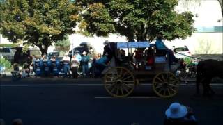 2016 Pendleton RoundUp Western Ho Parade [upl. by Binah]