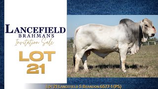 Lot 21 Lancefield S Brandon 65771 PS [upl. by Liesa]