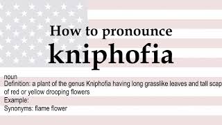 How to pronounce kniphofia  meaning [upl. by Purcell]