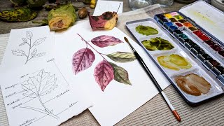 3 Tips for Painting Fall Leaves  Botanical Painting [upl. by Erehpotsirhc970]