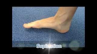 Ankle pronation and supination [upl. by Terese]