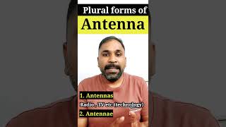 Antenna  antennas or antennae english shorts spokenenglish englishgrammar [upl. by Waverley973]