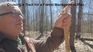 Forest Management Plan Writing Field Work [upl. by Eceirtal]