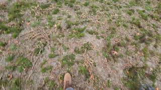 Metal Detecting A 1700s Farm South Eastern Virginia [upl. by Iharas509]