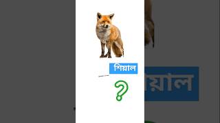 Fox meaning in banglayoutube ytshort youtubeshorts viral vocabularywordmeaning [upl. by Chaiken]