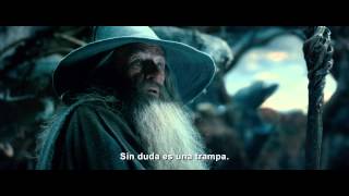 EL HOBBIT LA DESOLACIÓN DE SMAUG  Trailer 1  subtitulado HD  Oficial de WB [upl. by Nilde191]