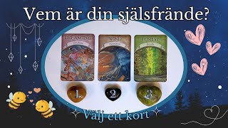 Vem är din själsfrände 😍🫶🏻🩷✨PICK A CARD ✨Tidlös ✨TAROT [upl. by Thomasin958]