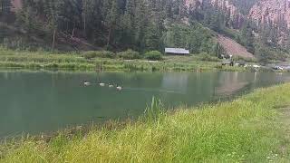 Walking Around the Seven Springs Ponds Jemez Mountains New Mexico [upl. by Ahsirhcal]