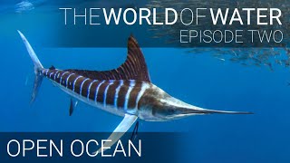 The World of Water S1E2  Open Ocean [upl. by Craddock679]