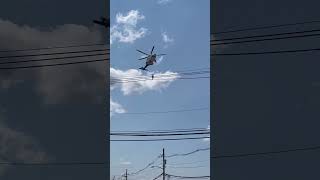 India Day Parade Edison New Jersey 2024 [upl. by Llenrev]