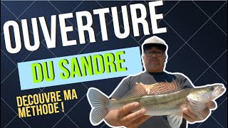 Je pêche louverture sandre en vilaine  regardez ma méthode [upl. by Rossie617]