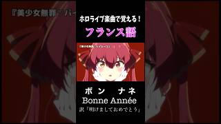 【※空耳】ホロライブ楽曲で覚えるフランス語 Part1 宝鐘マリン 美少女無罪パイレーツ shorts [upl. by Gotthelf]