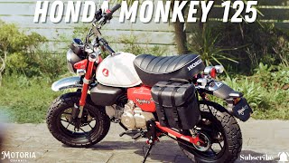 2024 Honda Monkey 125 The Adorable MiniBike Legend Returns  Classic Style Modern Fun [upl. by Mallis]