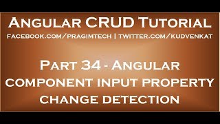 Angular component input property change detection [upl. by Kcirret411]