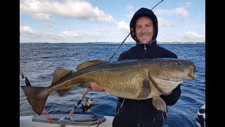 Spodsbjerg Langeland 2017  SDM Fishing Dänemark Dorsch Danmark Torsk  Denemarken Kabeljauw [upl. by Avenej63]