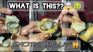 ASMR BALUT DAY11🙀🤤ASMRFOODSATISFYINGBALUTEXOTICFOOD [upl. by Noside]