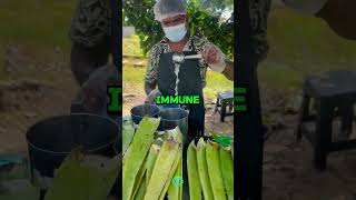 Top Benefits of Drinking Aloe Vera Juice Daily for 2 Weeks [upl. by Lewanna294]