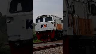 The Argo Wilis Train Cornering with Speed railway train trainsvideos [upl. by Gavin]