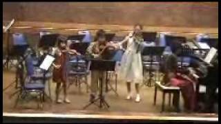 Vivaldi violin concerto in gmoll [upl. by Nywroc]