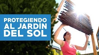 ¿Cómo proteger el jardín del sol [upl. by Adnawuj944]