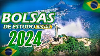 Tudo sobre as Principais Bolsas de Estudo no Brasil  2023 2024 [upl. by Croft798]