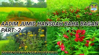 AADIM JUMID HANSDAH BAHA BAGAN PART 2surendrahansdahofficial3038 [upl. by Adnohs]