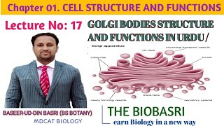 GOLGI BODIES STRUCTURE AND FUNCTIONSIN URDU HINDI  GOLGI APPARATUS [upl. by Errecart]