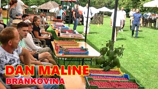 Dan maline 2024 Brankovina Otvaranje manifestacije FotoVoja Valjevo [upl. by Dhumma]