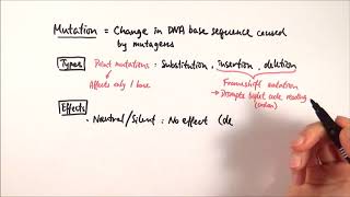 A2 Biology  Types of mutations OCR A Chapter 191 [upl. by Cordell]