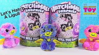 Ligull Hatchimals Surprise Target Exclusive Twin Unboxing Toy Review  PSToyReviews [upl. by Aihsaei341]