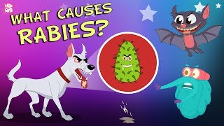 What Causes Rabies  The Dr Binocs Show  Best Learning Videos For Kids  Peekaboo Kidz [upl. by Ala]