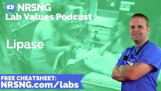 Lipase Nursing Considerations Normal Range Nursing Care Lab Values Nursing [upl. by Rednasyl]