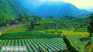 Wonosobo Negri Diatas Awan Keindahan Dieng drone Video [upl. by Faina67]