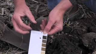 Checking Soil Organic Matter [upl. by Nagud]