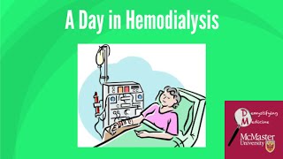 A day in hemodialysis [upl. by Doerrer]