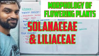 Morphology of flowering plants  Solanaceae and Liliaceae [upl. by Meenen466]