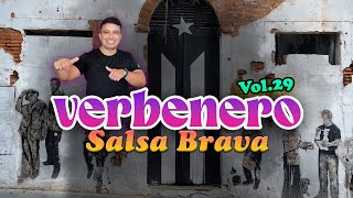 VERBENERO VOL29  SALSA BRAVA [upl. by Nwahsad]