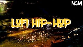 No Copyright Music Chill Lofi Hip Hop Beat FREE Instrumental Copyright Free Chillhop Music [upl. by Ettore]