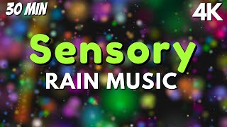 Relaxing Sensory Music with Rain Sounds Autism Calming Sensory [upl. by Imoen]