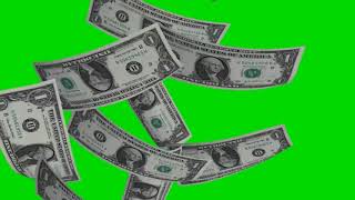 Money Rain  falling dollar bills on green screen  free use [upl. by Brelje781]