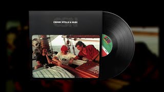 Crosby Stills amp Nash – Cathedral Vinyl Visualizer [upl. by Peters]