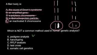 Common methods used in human genetics analysis [upl. by Sirois]