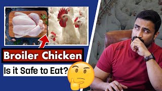 Broiler Chicken  Good or Bad for Health [upl. by William]