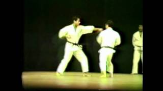 Matsubayashi Karate Kama Kusanku Nunchaku [upl. by Eruza]